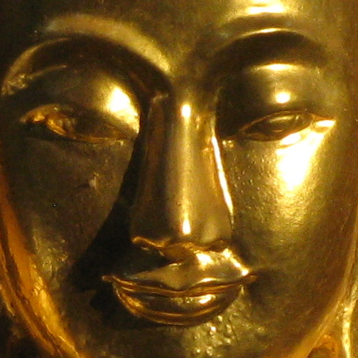 Buddha Illuminated
